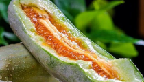 如何吃网红瓜,轻松解锁网络热点美食之旅