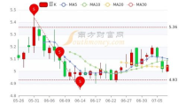 中百集团股票,解析其市场动态与投资前景